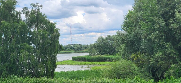 Was Bergedorf mit dem Überleben des Stints zu tun hat